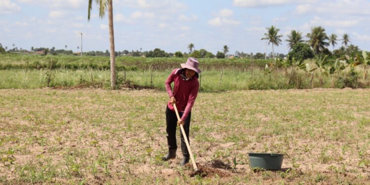 Governo oferece orientação a agricultores do perímetro irrigado de Lagarto sobre análise de solo