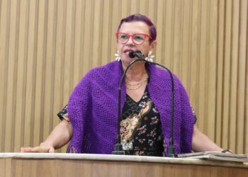 Professora Sonia Meire defende vale gás para população vulnerável