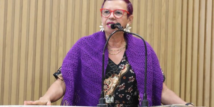 Professora Sonia Meire defende vale gás para população vulnerável