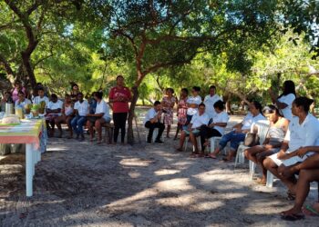 Organização em associações transforma a vida de catadoras de mangaba no litoral sul sergipano