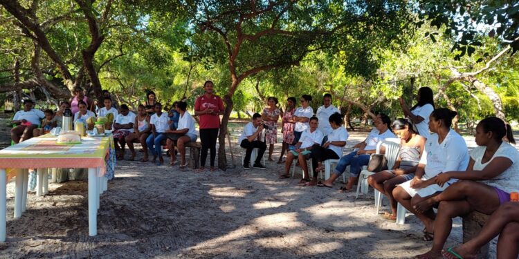 Organização em associações transforma a vida de catadoras de mangaba no litoral sul sergipano