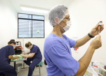 Programa Aju Animal se torna modelo de política pública para outras cidades do país
