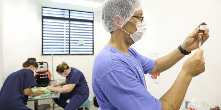 Programa Aju Animal se torna modelo de política pública para outras cidades do país