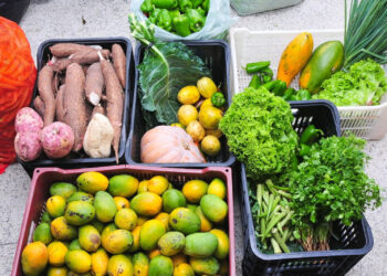 Prefeitura de São Cristóvão realiza mais uma entrega de alimentos para instituições locais