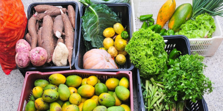 Prefeitura de São Cristóvão realiza mais uma entrega de alimentos para instituições locais