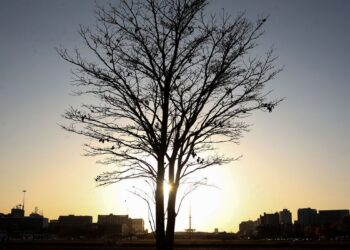 Temperaturas globais devem subir a níveis recordes nos próximos anos