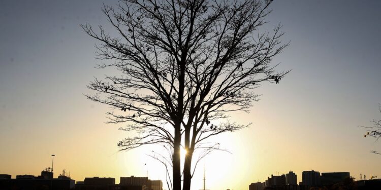 Temperaturas globais devem subir a níveis recordes nos próximos anos