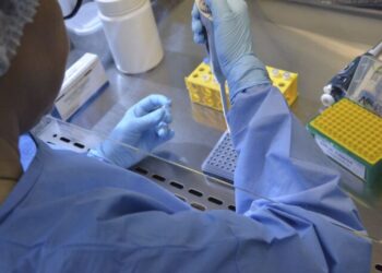 Estudo mostra que vacina contra chikungunya é segura e eficaz