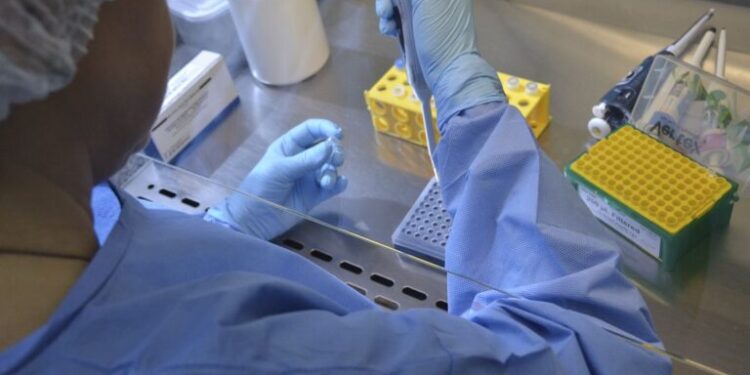 Estudo mostra que vacina contra chikungunya é segura e eficaz