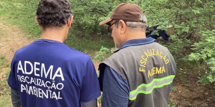 Adema vistoria área onde será instalada Usina de Energia Solar Fotovoltaica em Canindé