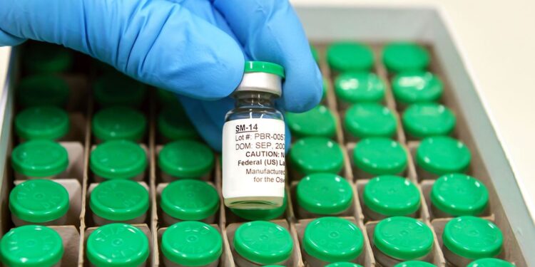Vacina contra esquistossomose estará disponível em 2025