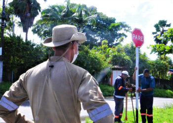 Equipe da SMTT implanta placas de sinalização em ruas do bairro Divinéia