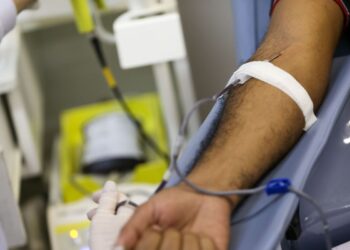 Doações de sangue e plaquetas para o Inca crescem 6,5%