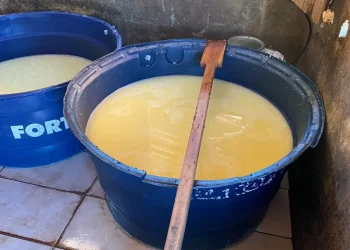 Equipe Abate da FPI de Sergipe interdita queijaria e constata atividade irregular de uma pocilga