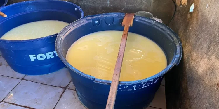 Equipe Abate da FPI de Sergipe interdita queijaria e constata atividade irregular de uma pocilga