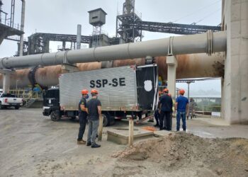 Denarc incinera cerca de duas toneladas de drogas apreendidas no estado