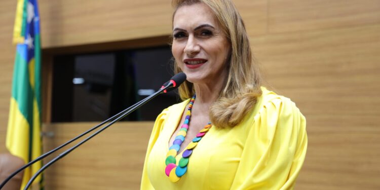 Linda Brasil discursa sobre serviços do INSS, linguagem inclusiva e insegurança alimentar