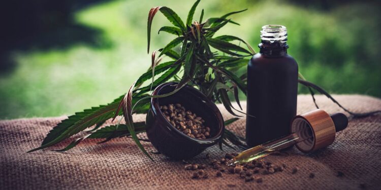STJ autoriza três pacientes a cultivarem cannabis para fins medicinais