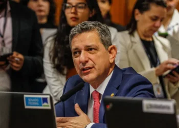 Rogério Carvalho destaca preocupações com a economia brasileira durante sabatina com indicados para diretorias do BC