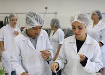 Pesquisa defende expansão dos cursos técnicos no Brasil