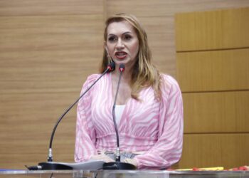 Linda Brasil destaca emendas protocoladas e critica proposta enviada pelo atual governo