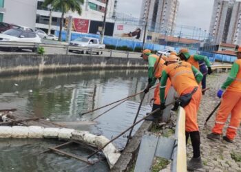 Ecobarreiras impedem que resíduos descartados irregularmente poluam rios