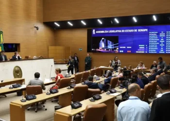 Recesso: Deputados Paulo Jr e Netinho Guimarães destacam ações positivas