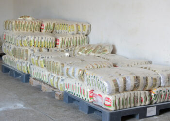 Primeira remessa de farinha sergipana é exportada para os Estados Unidos nesta terça-feira, 25