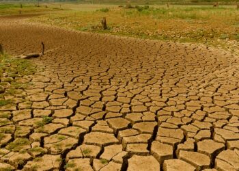 Nove municípios sergipanos decretam situação de emergência por seca ou estiagem