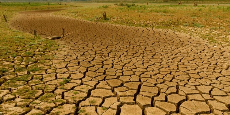 Nove municípios sergipanos decretam situação de emergência por seca ou estiagem