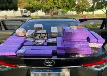 PM apreende 26kg de entorpecentes no Mosqueiro