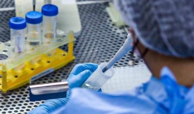 Secretaria da Saúde reforça orientações para prevenir casos de mormo