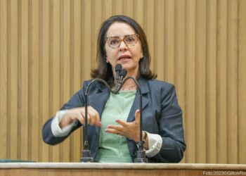 “Precisamos fortalecer a rede de apoio às vítimas em situação de violência doméstica”, afirma Emília