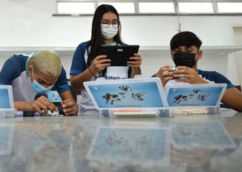 Governo lança editais para realização e participação em olimpíadas escolares