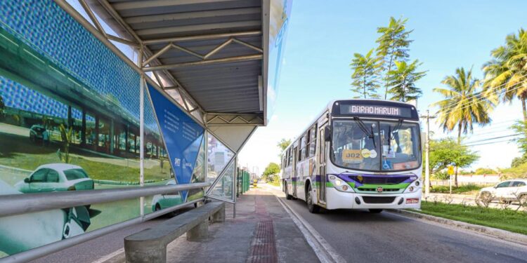 Novos abrigos de ônibus dos corredores de mobilidade aliam durabilidade e tecnologia