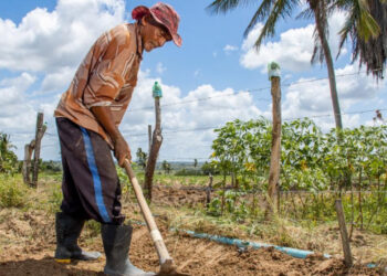 Agricultores familiares já podem fazer inscrição no Programa Garantia Safra