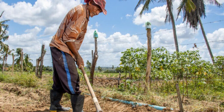 Agricultores familiares já podem fazer inscrição no Programa Garantia Safra