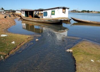 Agrotóxicos: pescadoras denunciam contaminação do Rio São Francisco