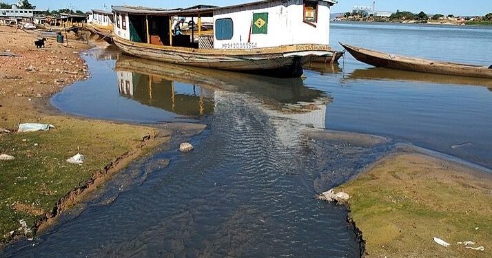 Agrotóxicos: pescadoras denunciam contaminação do Rio São Francisco