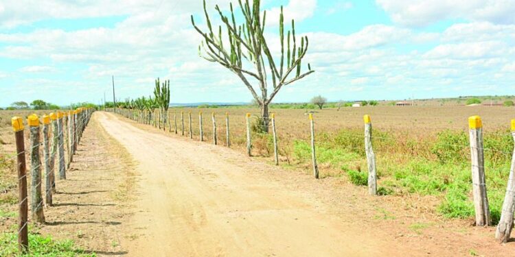 Com o período de estiagem, temperaturas devem subir bastante em Sergipe