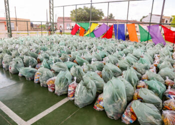 Prefeitura de Lagarto entrega mais de 30 toneladas de alimentos no povoado Brasília