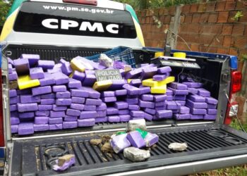 Polícia Militar apreende 188 quilos de maconha em Socorro