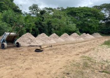Polícia Militar flagra crime ambiental em Divina Pastora