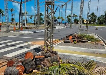 MPSE quer que a Prefeitura explique corte de árvores na Orla por conta de montagem de estrutura do Pré-Caju