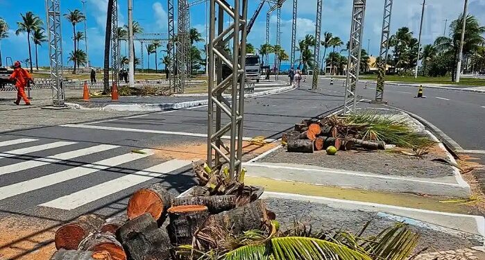 MPSE quer que a Prefeitura explique corte de árvores na Orla por conta de montagem de estrutura do Pré-Caju