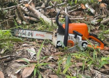 Polícia Militar apreende motosserra com homem que cortava árvore em São Cristóvão