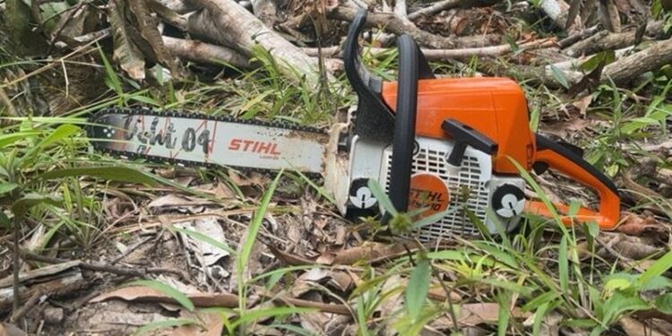 Polícia Militar apreende motosserra com homem que cortava árvore em São Cristóvão