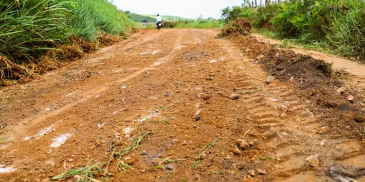 Prefeitura de Simão Dias promove melhorias nas estradas vicinais do município