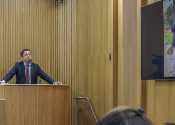 Fabiano Oliveira usa tribuna para criticar fake news a respeito da derrubada de árvores na Orla