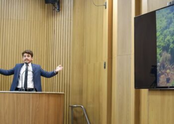 Breno Garibalde: “Nosso Plano Diretor permitiu a derrubada de 619 espécies arbóreas”